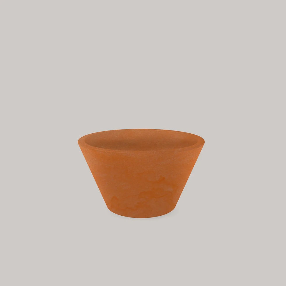 Miniatura: Lirio 45
