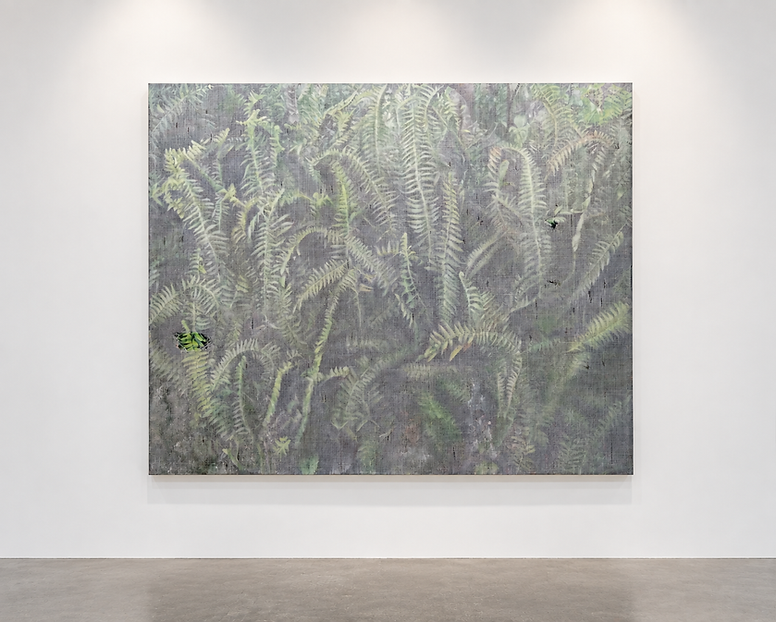 霧境蕨影畫廊展陳.png