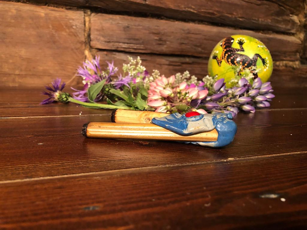 Thumbnail: Kuripe Ceremonial Rapé Pipe