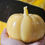 Miniature : Large Pumpkin Beeswax Candle