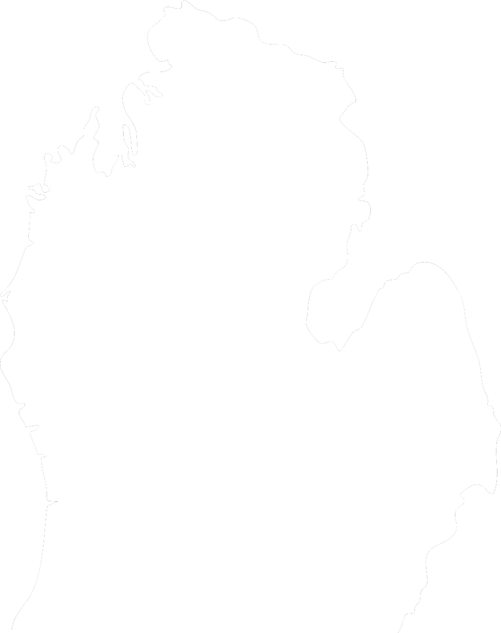 Michigan vector MFSN