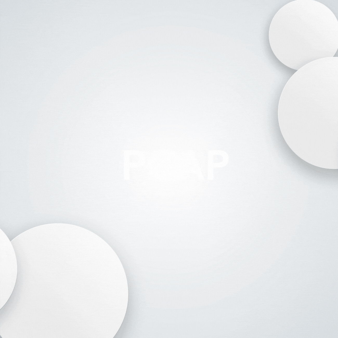 PCAP Renaissance IT Training Flint MI