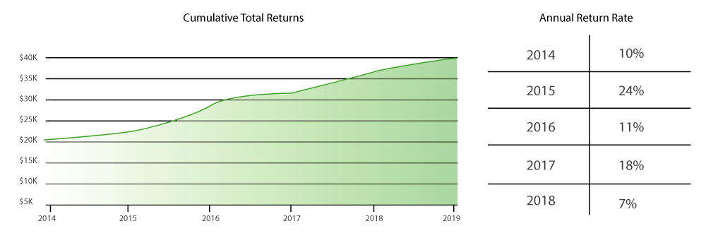 Annual-Return-Graph-green.gif