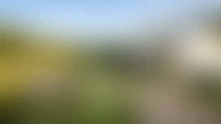 Going to the Country