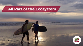 All Part of the Ecosystem
