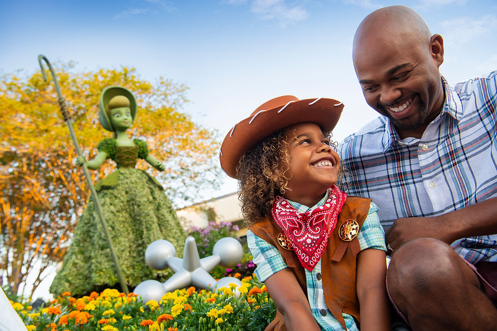 Disney World