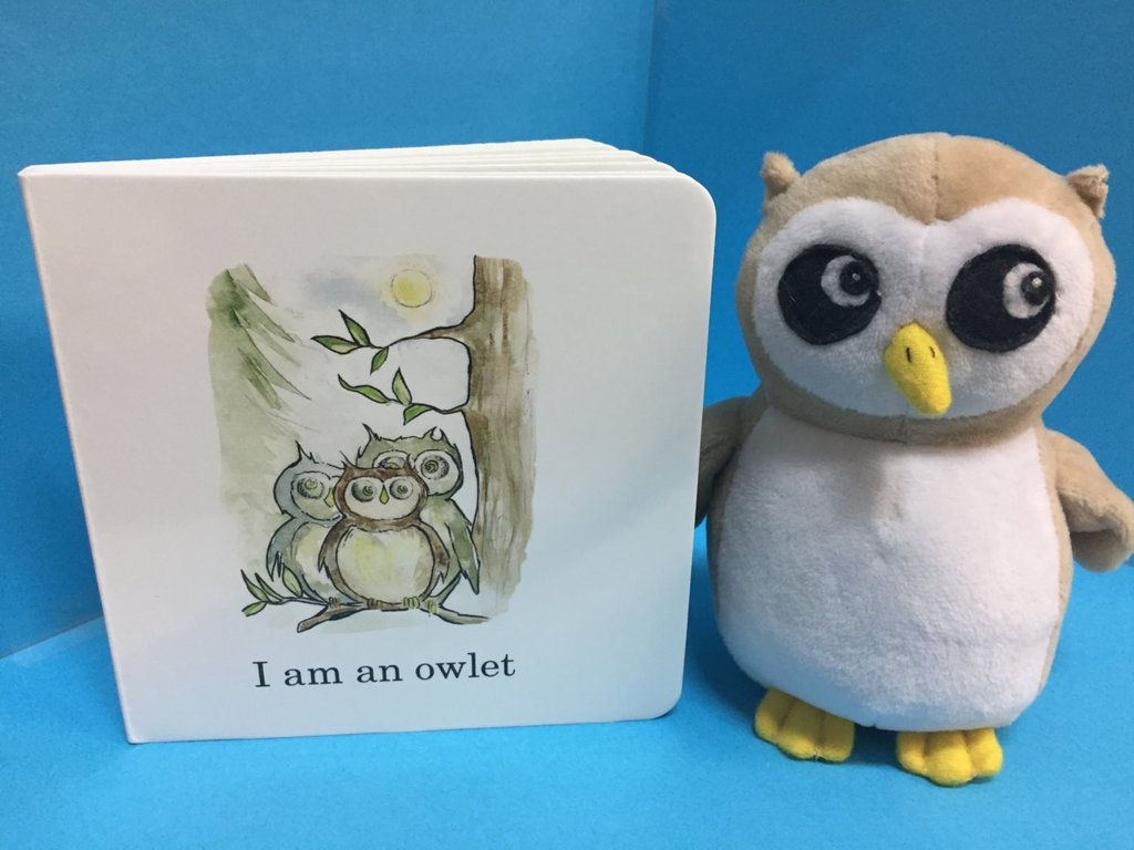 Owlet plush ( Book sold separately)