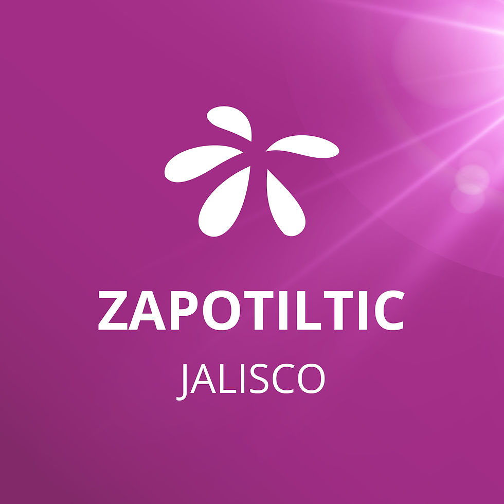 Floractive_Zapotiltic