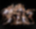 main marketing pic.jpg