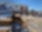 IMG_4367.jpeg