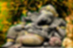 iStock-1165411586.jpg