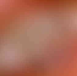 犬のクリスマスケーキ