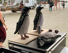 WhatsApp Image 2023-04-11 at 14_edited.jpg