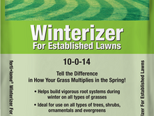 What to do in your yard in October