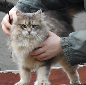 DSCN1084.JPG