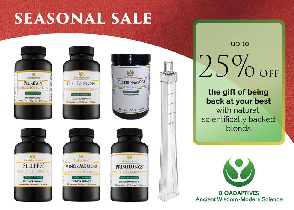 Christmas 2024 postcard