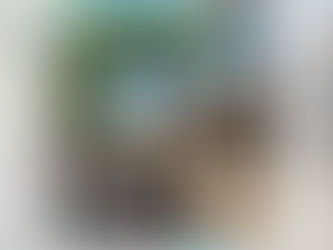 Little 5 Points Business Association Awarded $25,000 GM on Main Street Grant