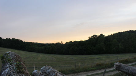 Belle promenade dans la nature pour trouver des chataignes