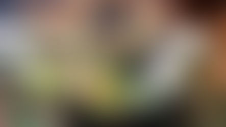 Healthy Vietnamese Spring Rolls