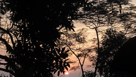 Inspirational Yoga Quotes