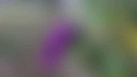 Une belle journée d'été