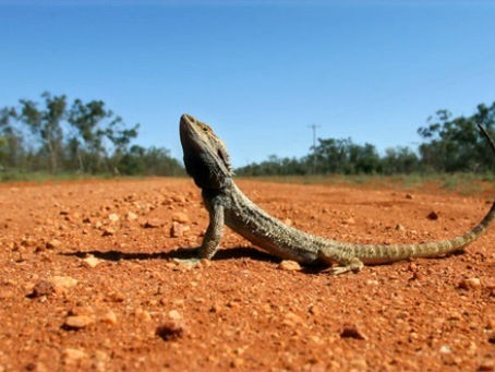 REGISTER YOUR INTEREST FOR OUR 2022 OUTBACK TOURS
