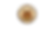 coin.png