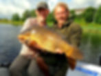 14,5 kg Swedish common carp
