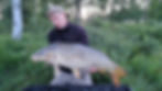 Swedish common