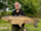 Italian Grass carp