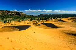Coral Pink Sand Dunes-2577