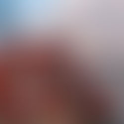 L50 : Perturbations Gare routière Marseille_Nuits du 3 au 7 novembre 2025