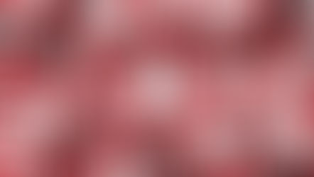 L55 : Déviation Sausset les Pins_mercredi 4 fév. 2026