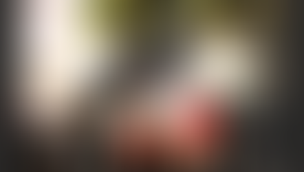 L38 L55 : Déviation Martigues_Commémoration des Déportés_dimanche 26 avril 2026