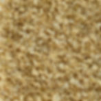 Ivory coloured Delphinium Confetti Petals referred to as Honeydew.