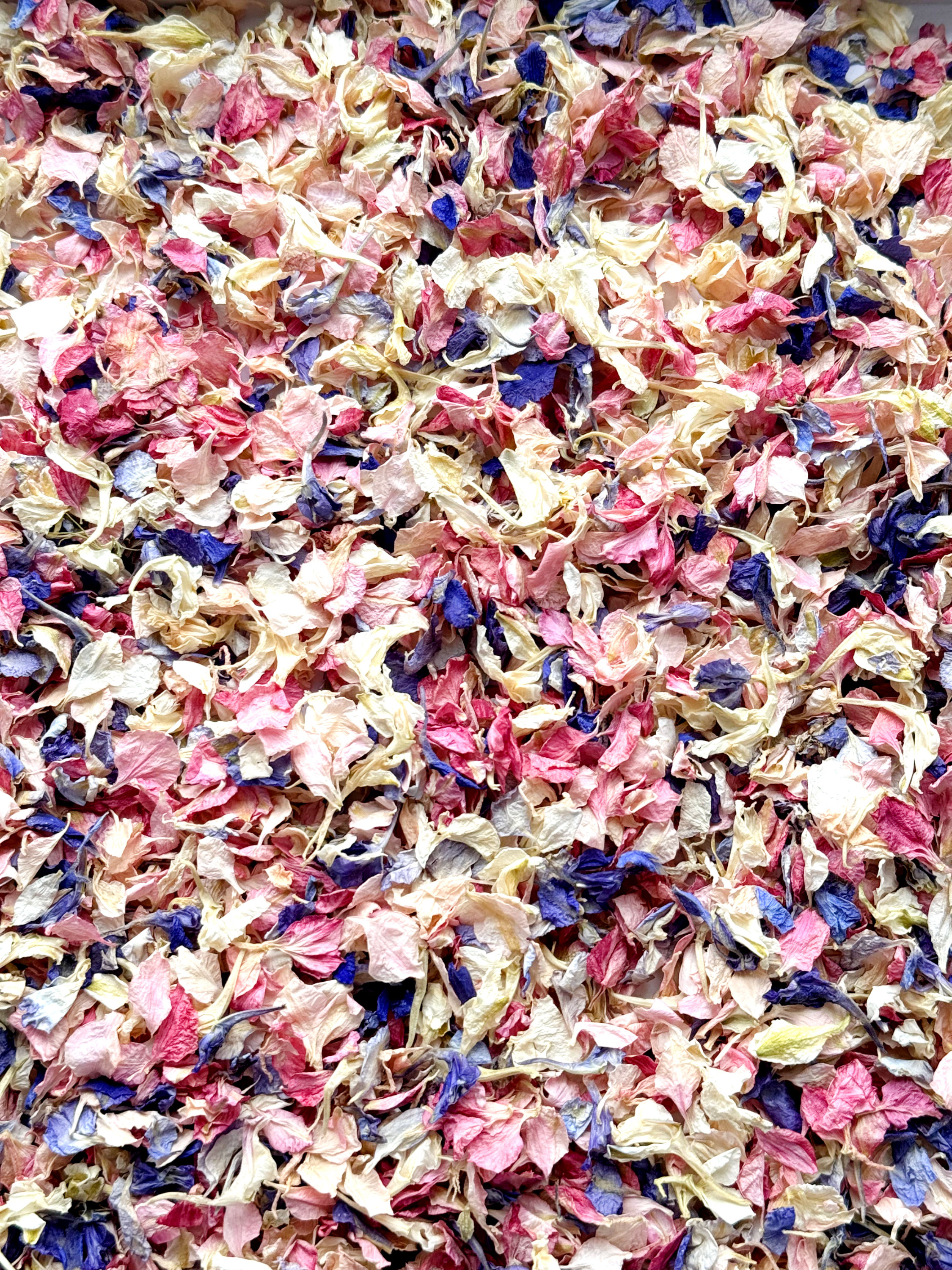 A mixture of many colours of delphinium petals