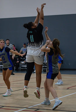 IMG_1568.jpg