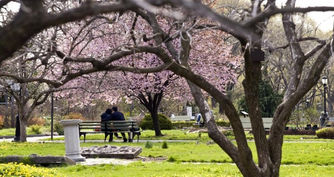 Assaggio di primavera, ma attenzione al freddo in agguato