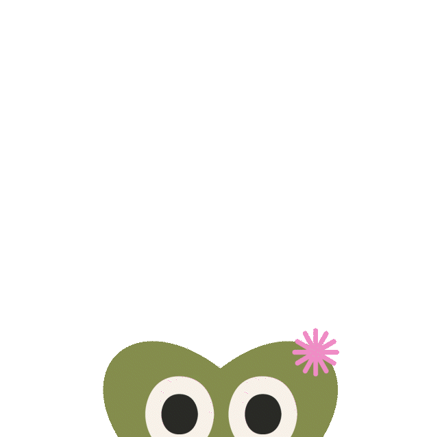 Pink Poppy Flowers