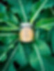 naturalholicjointbalm.jpg