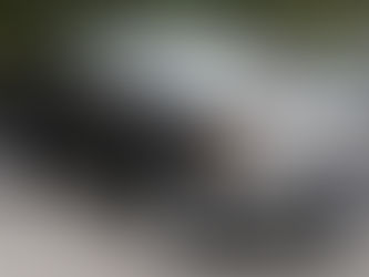 Marcas de autos mas vendidos en el mundo 2018 (Historia del automovilismo).