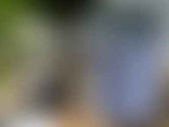 L'impact des mises à jour sur la connectivité Bluetooth : Un guide complet