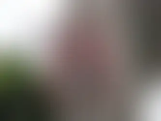 L'Importance Cruciale des Mises à Jour dans la Sécurité Routière