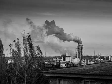 Les Mises à Jour IGO et l'Impact Environnemental