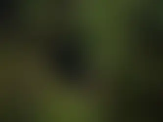 Les Fonctionnalités Cachées que Vous Débloquez Après une Mise à Jour