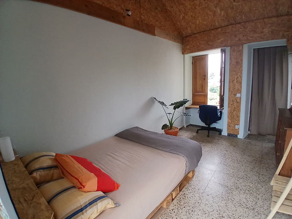 WhatsApp Image 2025-12-12 at 10.09.22.jpeg