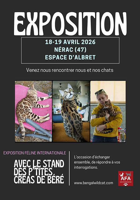 Affiche Exposition Art Moderne Simple Photo Blanc Noir-3.png