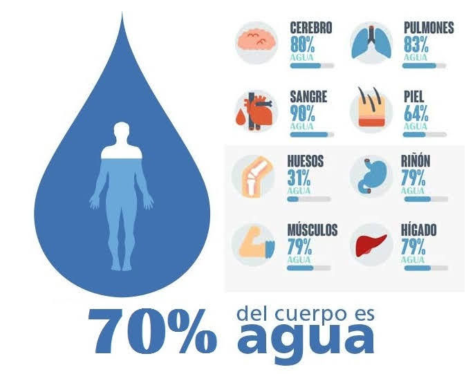 Beneficios de tomar agua