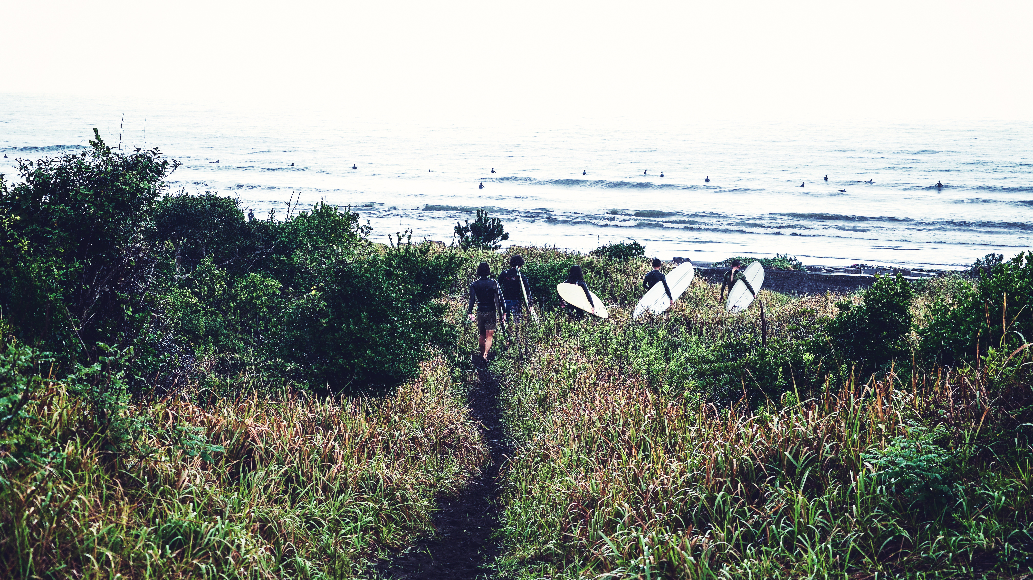 Landscape of the 2018 CHIBA