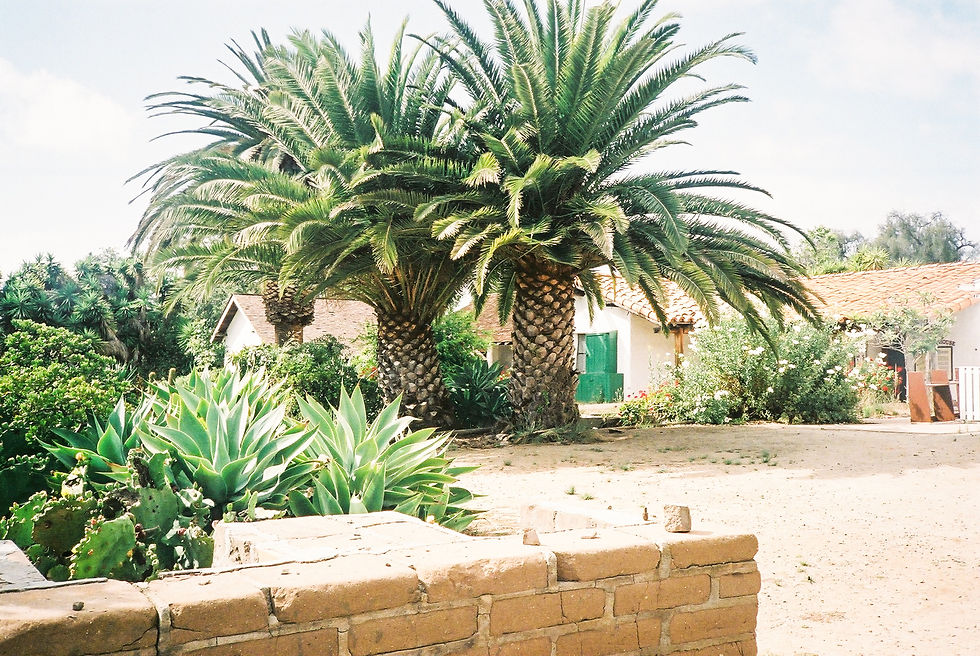 FH010030